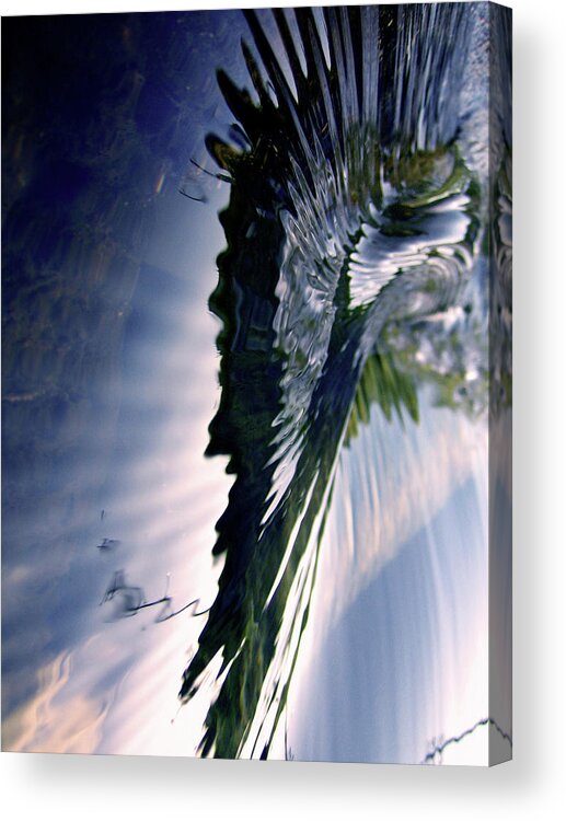 Tranquility Acrylic Print featuring the photograph Water Wings by Jodie Griggs