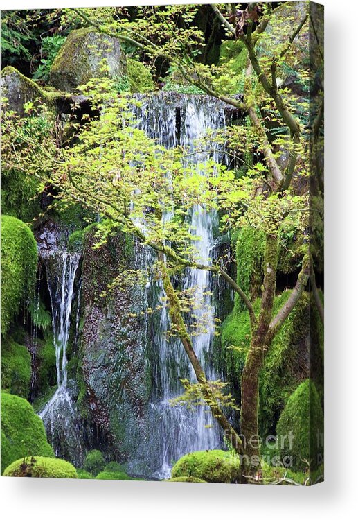 Landscape Acrylic Print featuring the photograph Waterfall by Julie Rauscher