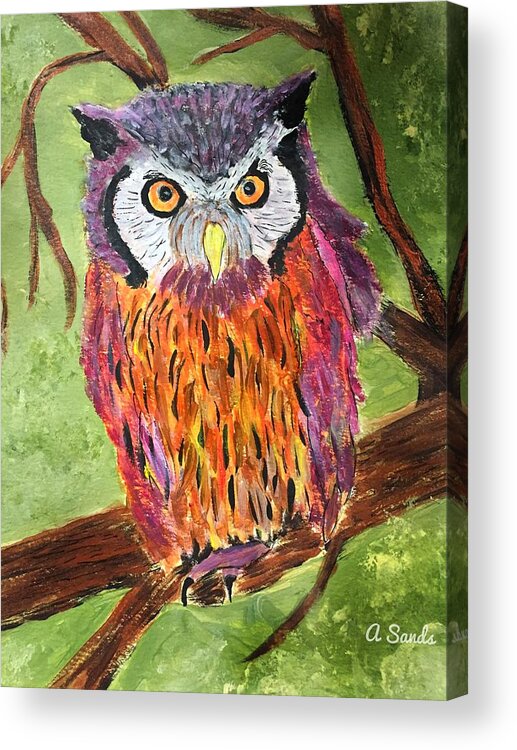 Wise Owl Acrylic Print featuring the painting What a Hoot by Anne Sands