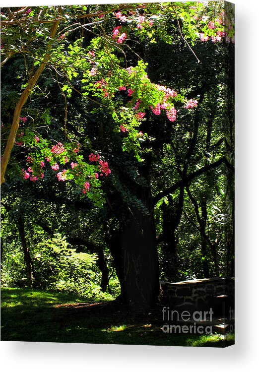 Summer Acrylic Print featuring the photograph Woodland Serenity No.2 by Steve Ember