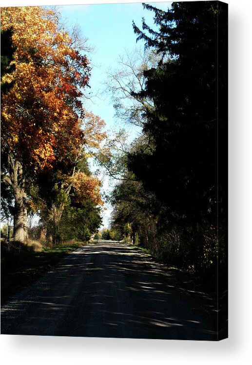 Ye Old Tracks Road Acrylic Print featuring the photograph Ye Old Tracks Road by Cyryn Fyrcyd