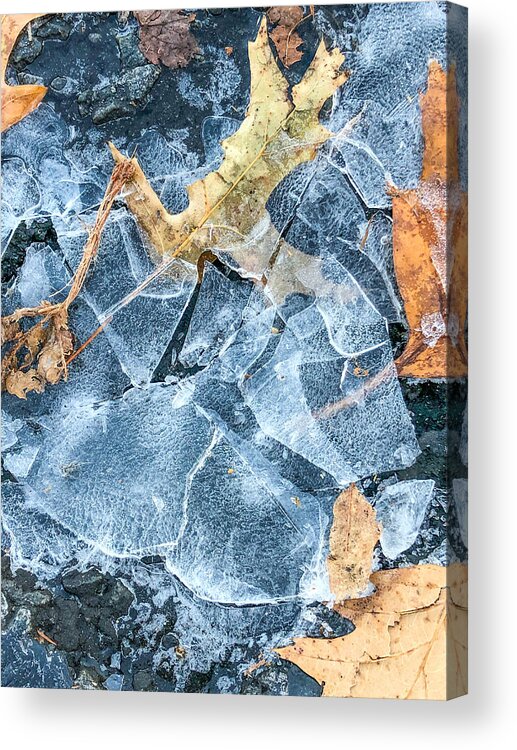 Ice Acrylic Print featuring the photograph Cracked #1 by Cate Franklyn