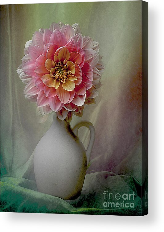 Flower Acrylic Print featuring the photograph Dahlia My Forever #1 by Ann Jacobson