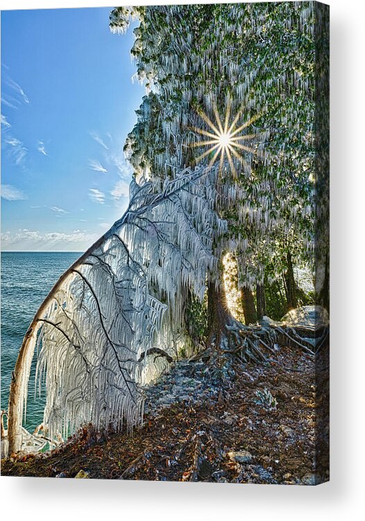 Ice Acrylic Print featuring the photograph Frozen #1 by Brad Bellisle