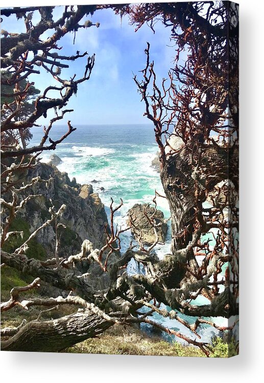 Sea Acrylic Print featuring the photograph Point Lobos #1 by Luisa Millicent