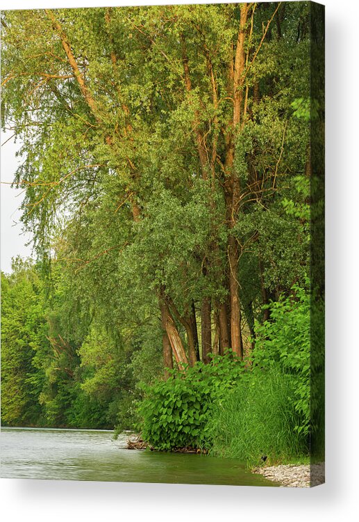 River Acrylic Print featuring the photograph The Sava River in Summer #1 by Ian Middleton