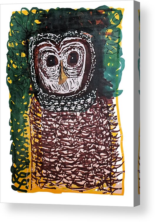 Colorado Acrylic Print featuring the drawing Wood Owl #1 by Pam O'Mara