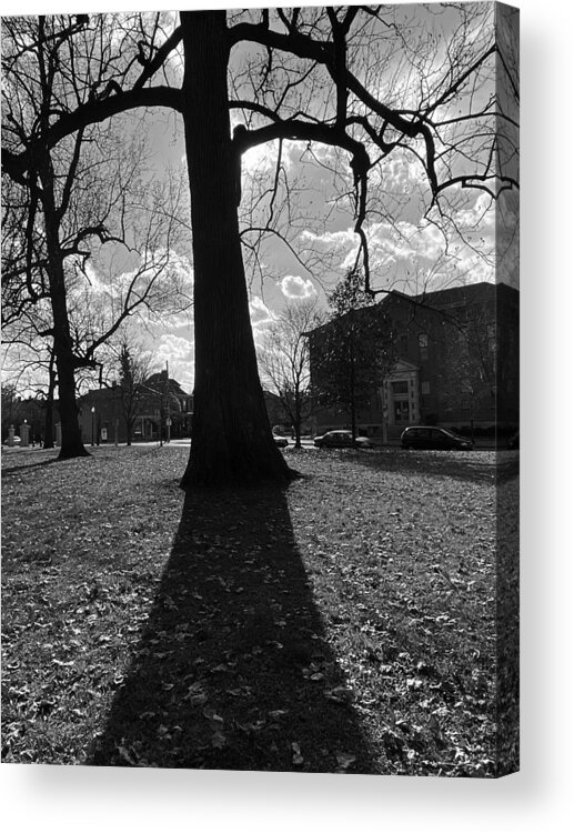 Photography Acrylic Print featuring the photograph In the Shadows #4 by Christopher Genheimer