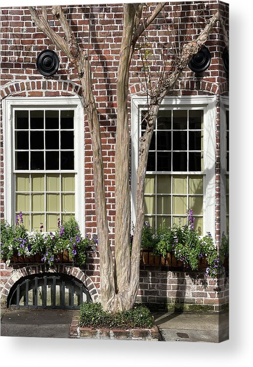 Charleston Acrylic Print featuring the photograph Charleston Wrought Iron Garden Gate, South Carolina #5 by Dawna Moore Photography