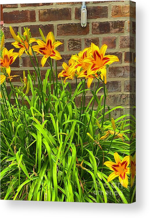  Acrylic Print featuring the digital art 7-102072l by Walter Paul Bebirian