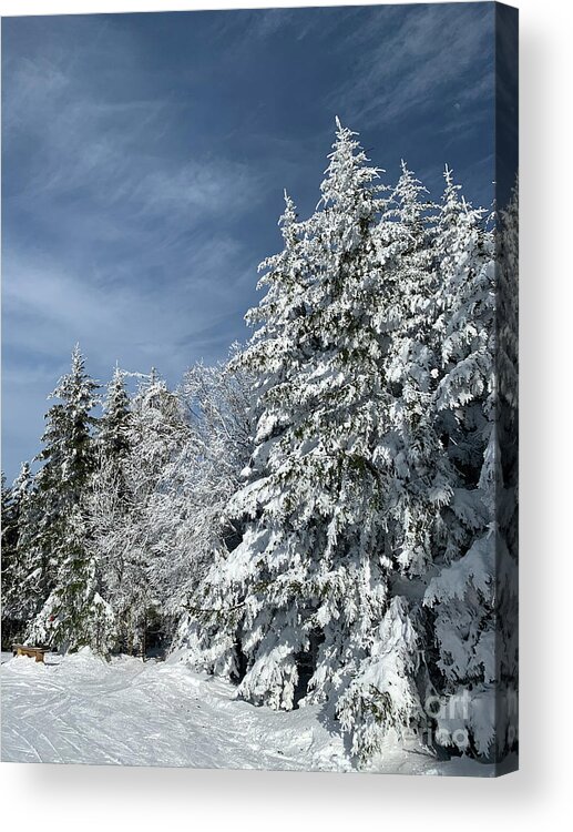  Acrylic Print featuring the photograph Winter Wonderland by Annamaria Frost