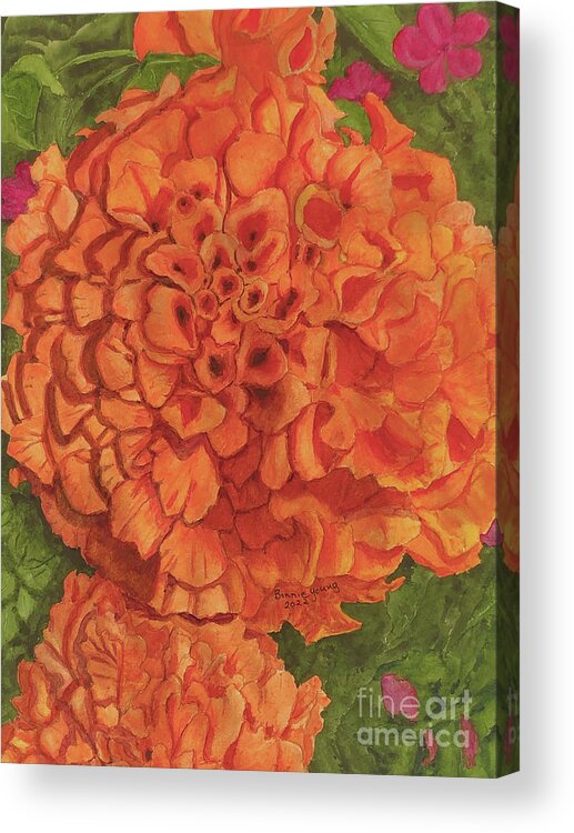Marigolds Acrylic Print featuring the painting African Marigolds by Bonnie Young