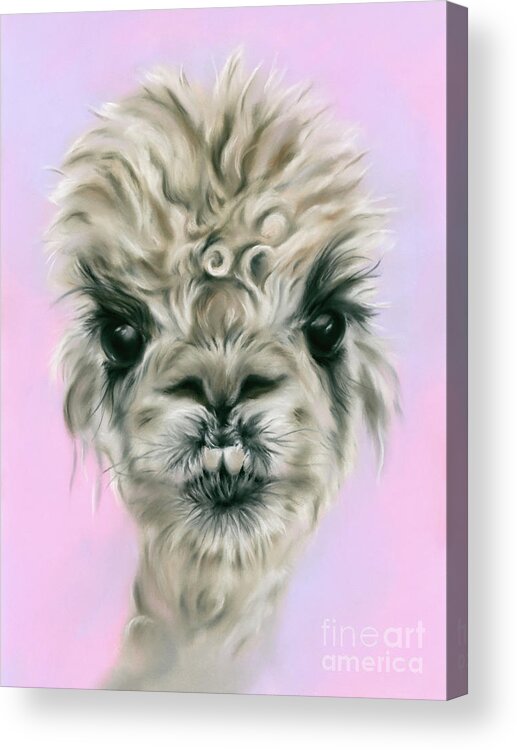 Animal Acrylic Print featuring the painting Alpaca Pretty on Pink and Purple by MM Anderson