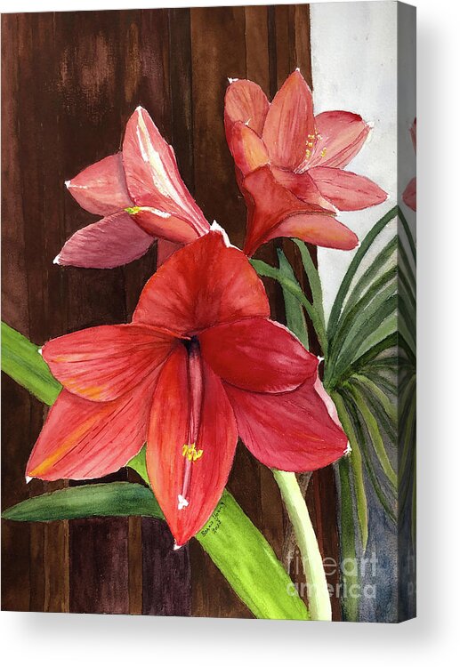 Amaryllis Acrylic Print featuring the painting Amaryllis by Bonnie Young