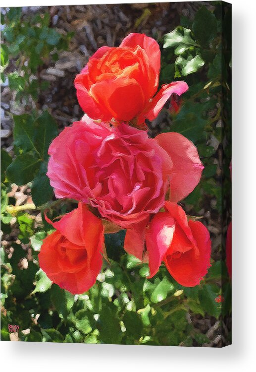 Roses Acrylic Print featuring the photograph April Blossoms by Brian Watt