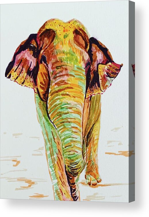 Asian Elephant Acrylic Print featuring the painting Asian Elephant by Tracy Hutchinson