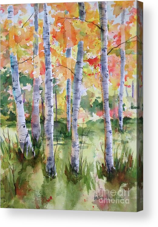 Aspen Acrylic Print featuring the painting Aspen Trees by Liana Yarckin