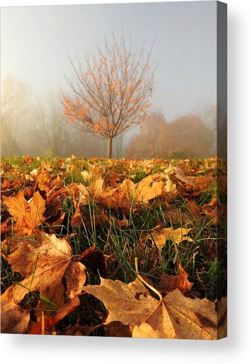 Autumn Acrylic Print featuring the photograph Autumn Fog by Dark Whimsy