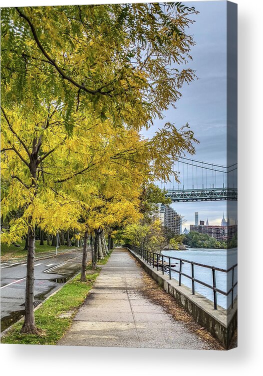 Autumn Acrylic Print featuring the photograph Autumn Gold Astoria Park by Cate Franklyn