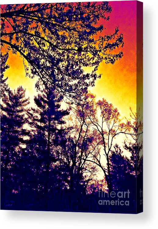 Landscape Acrylic Print featuring the photograph Autumn Sunrise Abstract - Thermal Effect by Frank J Casella