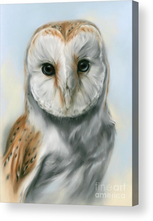 Bird Acrylic Print featuring the painting Barn Owl Perceptive Gaze by MM Anderson
