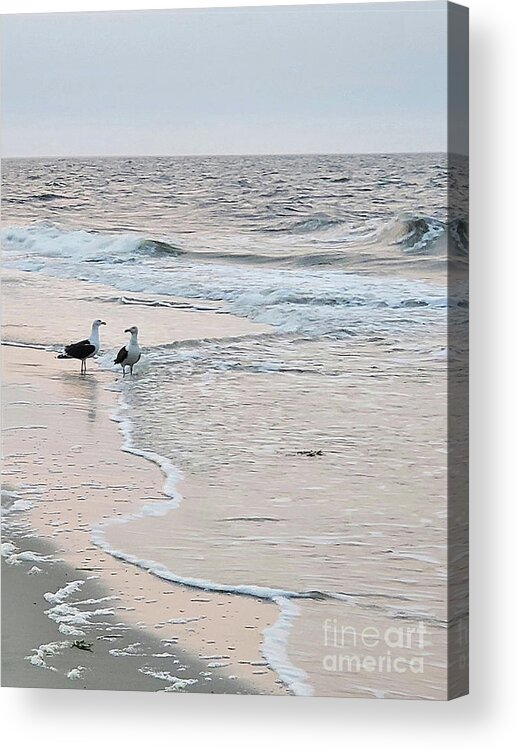 Landscape Acrylic Print featuring the photograph Beach Buddies by Sharon Williams Eng