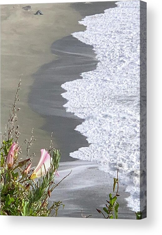 Ocean Acrylic Print featuring the photograph Big Sur Coast Morning Glory by Sandy Rakowitz