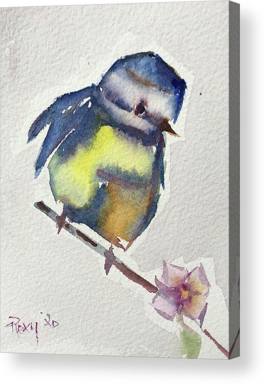 Blue Tit Acrylic Print featuring the painting Blue by Roxy Rich