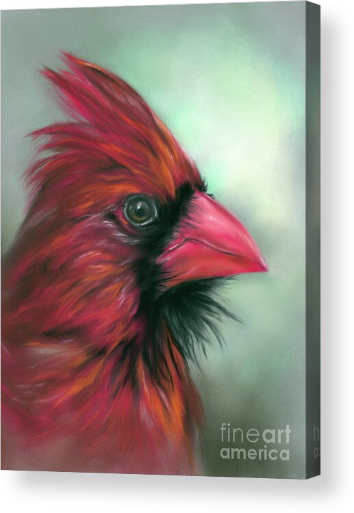 Bird Acrylic Print featuring the painting Cardinal Male Songbird Portrait by MM Anderson