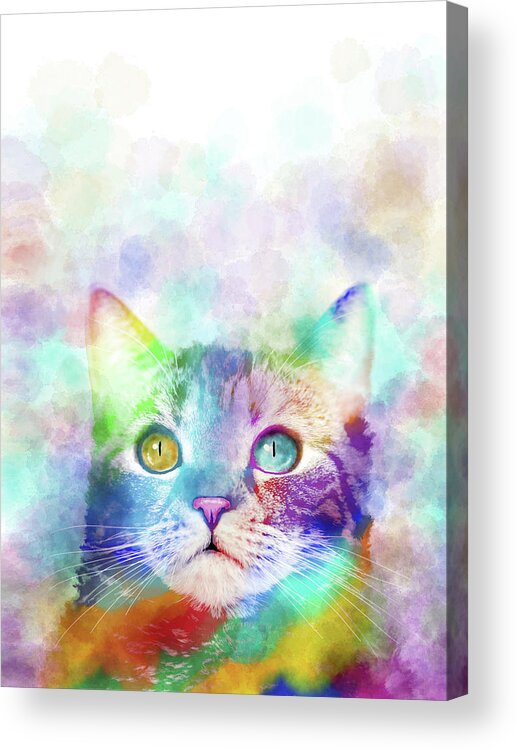 Cat Acrylic Print featuring the digital art Cat 663 multicolor cat by artist Lucie Dumas by Lucie Dumas