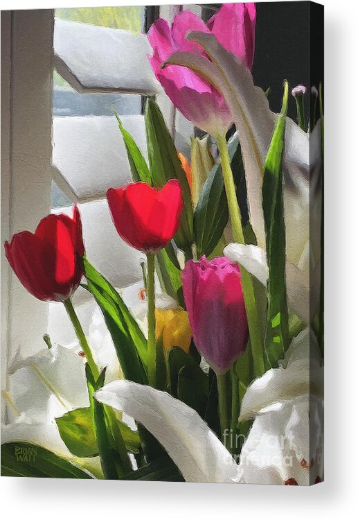 Tulips Acrylic Print featuring the photograph Catching the Morning Light by Brian Watt