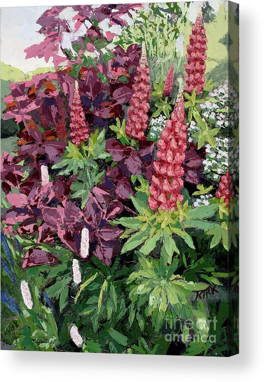 Oil Painting Acrylic Print featuring the painting Cawdor Castle Lupins, 2015 by PJ Kirk