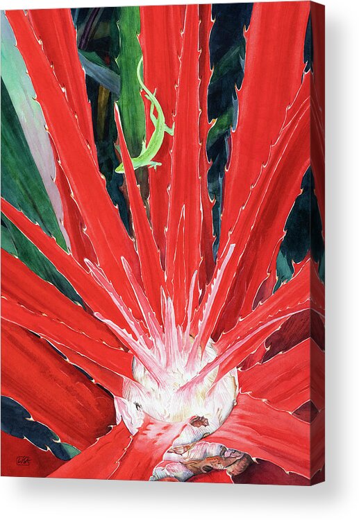 Botanical Acrylic Print featuring the painting Complimentary Hearts of Flame by Lisa Tennant