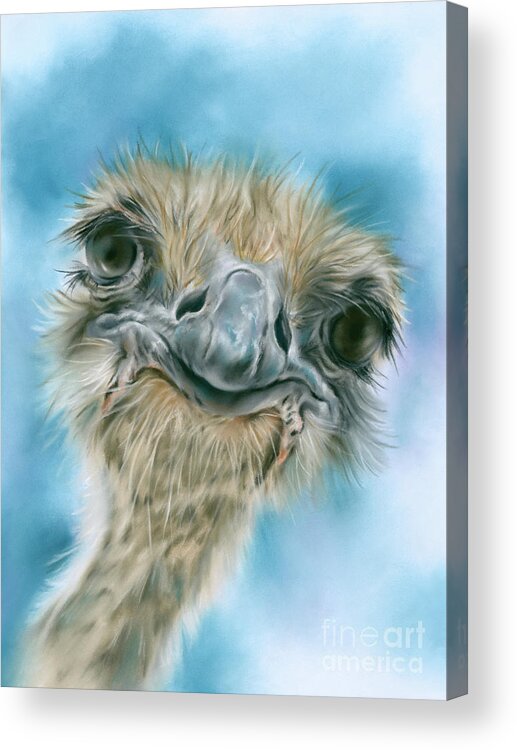 Bird Acrylic Print featuring the painting Curious Ostrich by MM Anderson