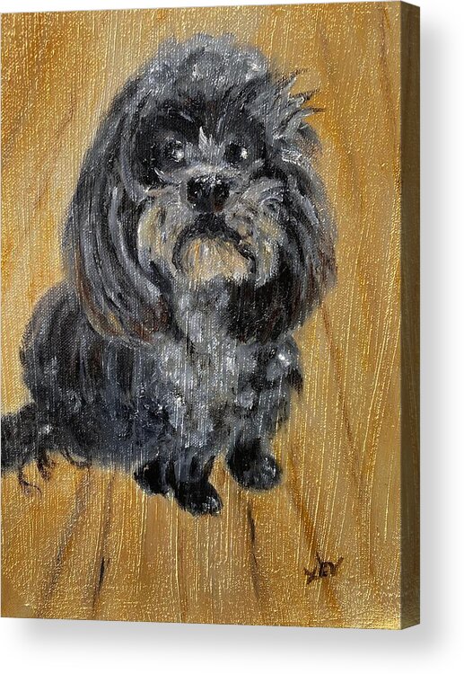 Pets Acrylic Print featuring the painting Cutie Lily by Lucille Valentino