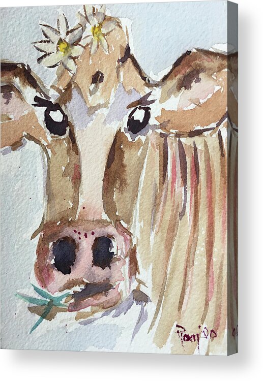 Cow Acrylic Print featuring the painting Daisy Mae by Roxy Rich