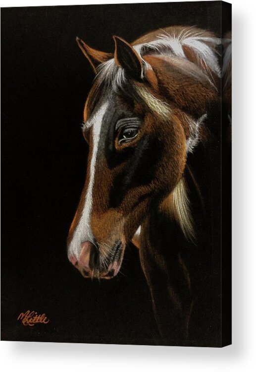 Dark Horse Acrylic Print featuring the pastel Dark Horse by Marlene Little