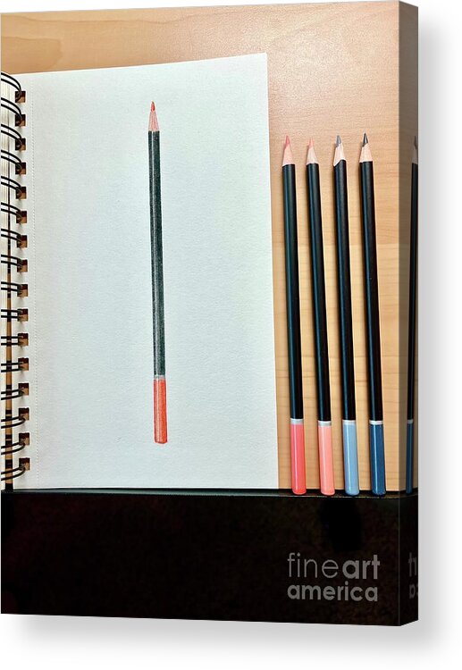  Acrylic Print featuring the drawing Day 141 Colored Pencil by Donna Mibus