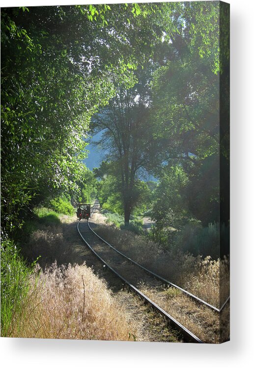 Train Acrylic Print featuring the photograph Durango and Silverton Narrow Gauge Maintenance by Mary Lee Dereske