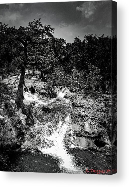 Tree Acrylic Print featuring the photograph Edge Falls Boerne, TX BW by Rene Vasquez