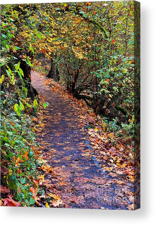 Nature Acrylic Print featuring the photograph Fall Forest Path by Jeanette French