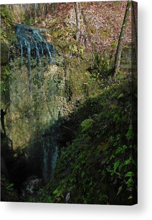 Waterfall Acrylic Print featuring the photograph Falling Waters by Carl Moore