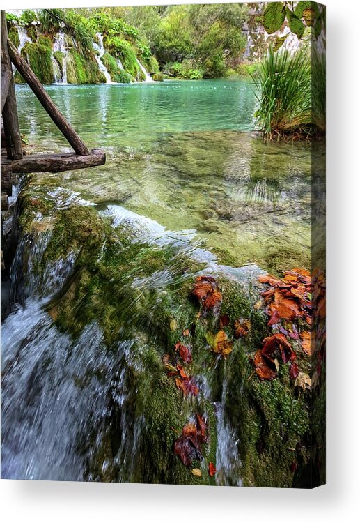 Plitvice Lakes Acrylic Print featuring the photograph Floating Away by Yvonne Jasinski