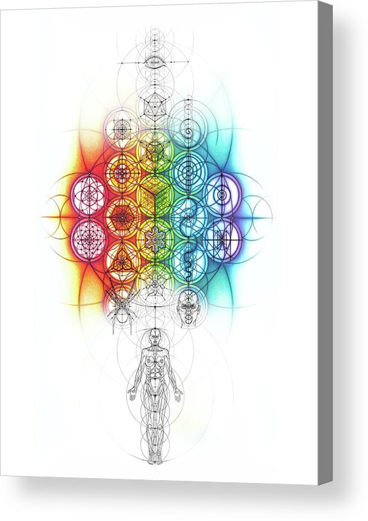 Human Acrylic Print featuring the drawing Flower of Life Geometry Spectrum by Nathalie Strassburg