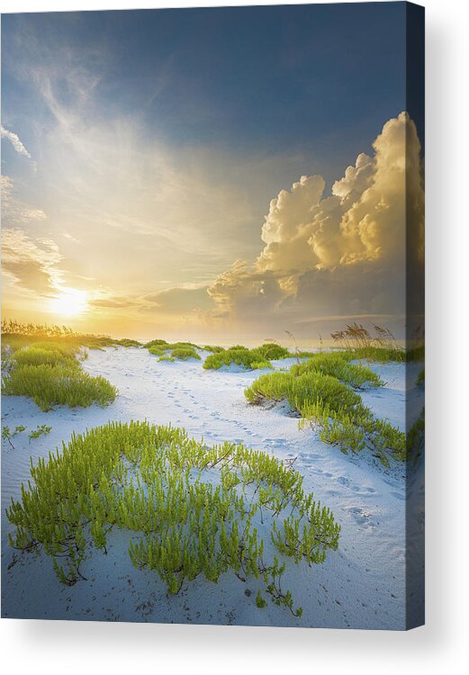 Beach Acrylic Print featuring the photograph Footprints To The Seashore Gulf Islands National Seashore by Jordan Hill