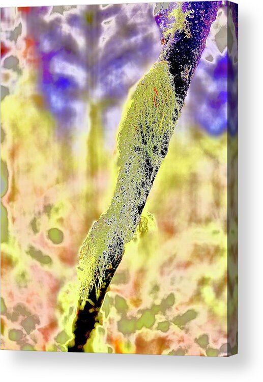 Abstract Acrylic Print featuring the photograph Forest Flora Abstraction by Michael Oceanofwisdom Bidwell