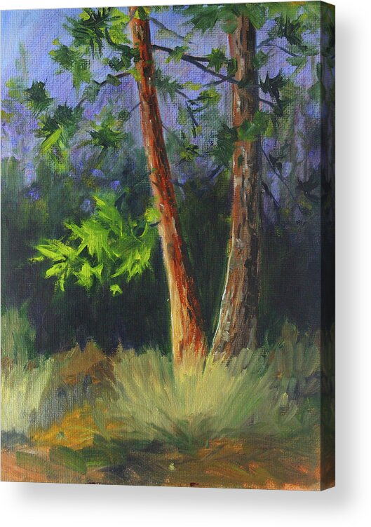 Pine Tree Acrylic Print featuring the painting Forest Pine by Nancy Merkle