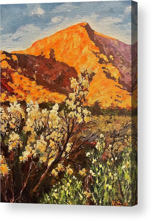 Landscape Acrylic Print featuring the painting Fortuna mountain 2 by Ray Khalife