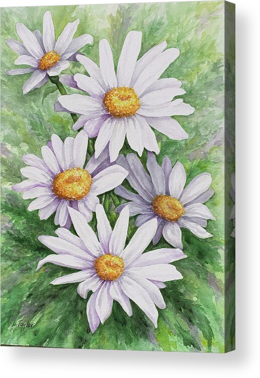 Daisy Acrylic Print featuring the painting Garden Daisies by Lori Taylor