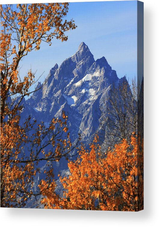 Grand Teton Autumn Frame Acrylic Print featuring the photograph Grand Teton In Autumn by Dan Sproul